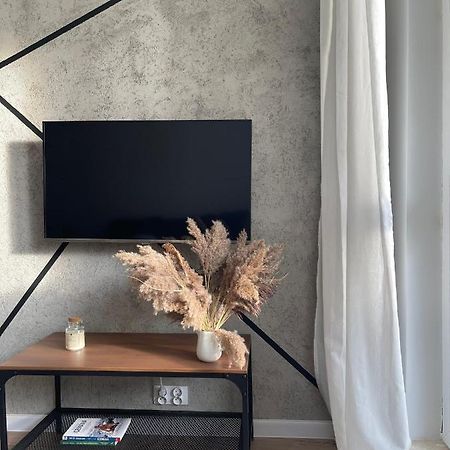 Przestronny Apartament 5 Min Od Centrum Katowic. Apartment Katowice Ngoại thất bức ảnh